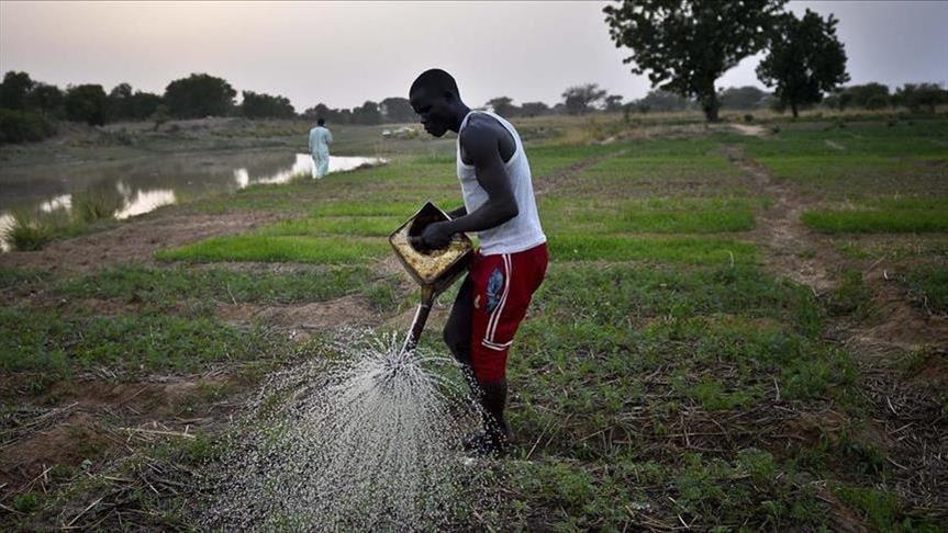 Les Décideurs Politiques Africains, Appelés à Intervenir dans la Réduction de Risque de Production Agricole Pluviale dans des Zones Rurales